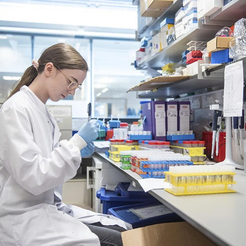 Shaanxi Baisifu Biological Engineering Co., Ltd. γραμμή παραγωγής εργοστασίων