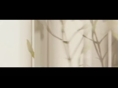 Αιθέρια έλαια δέντρου τσαγιού Ελαιόλαδο λεβάντας Ελαιόλαδο μέντας πεππερού Ελαιόλαδο εγκεφάλου δέντρου καμφούρης Ελαιόλαδο αιθέριας έλαιας τριαντάφυλλας Ευκά