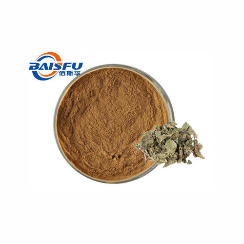 Baisfu brown powder 90% Pure high quality Mulberry Leaf Extract Powder for cosmetic and food additive