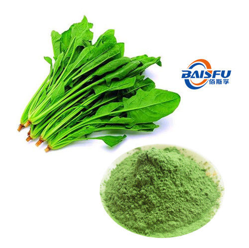 Baisfu Pure plant extract Green Fine Powder 98% Spinach Powder CAS No: 11006-34-1 Specification 5:1 10:1 Hot Selling - Get Your Favorite Price Here With Low MOQ  use in Food coloring and baking