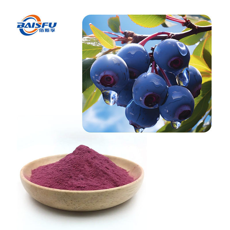 Baisfu pure natural Bilberry extract CAS 84082-34-8 Purple fine powder Containing anthocyanins for Food Additive and health supplement