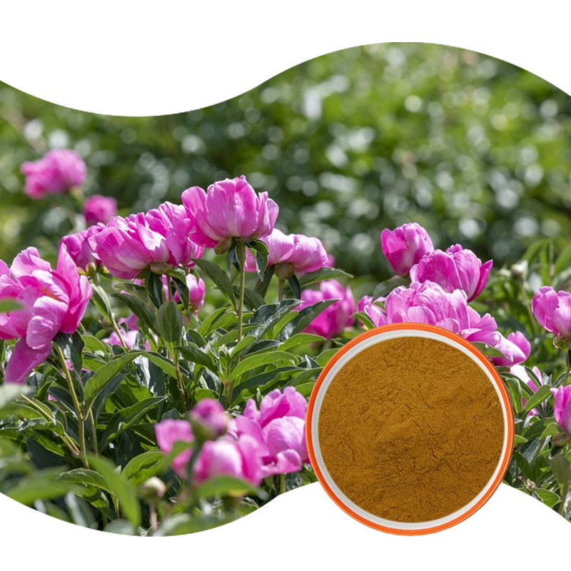 Baisfu Hot Selling palnt extract High Quality Moutan Paeonolum Extract Powder CAS: 552-41-0 Peony Root Extract Paeonolum Powder 99% used in medicine field.