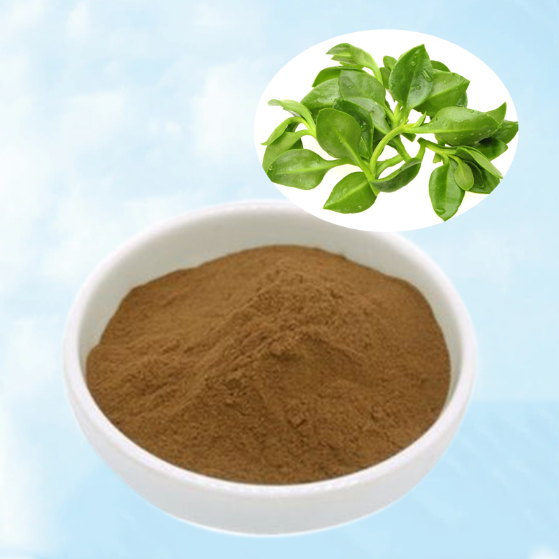 Baisfu plant extract powder Natural Herb Andrographis Paniculata Extract 98% Andrographolide10%.20% HPLC used in Food industry