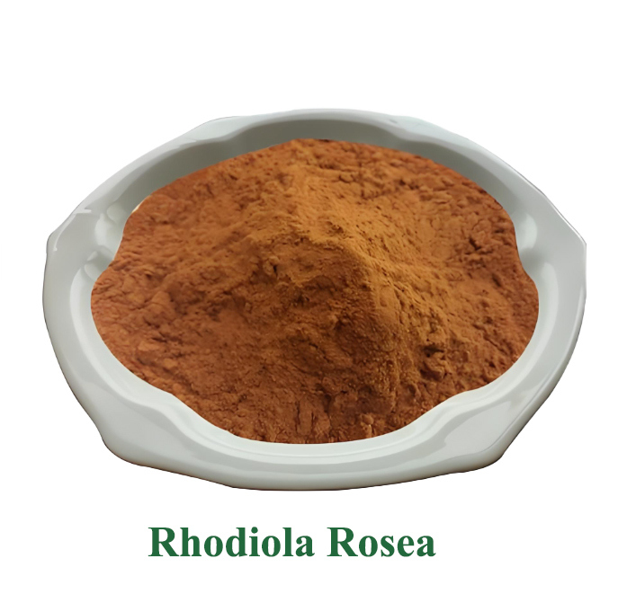 Factory direct sales of Rhodiola rosea extract. CAS: 97404-52-9