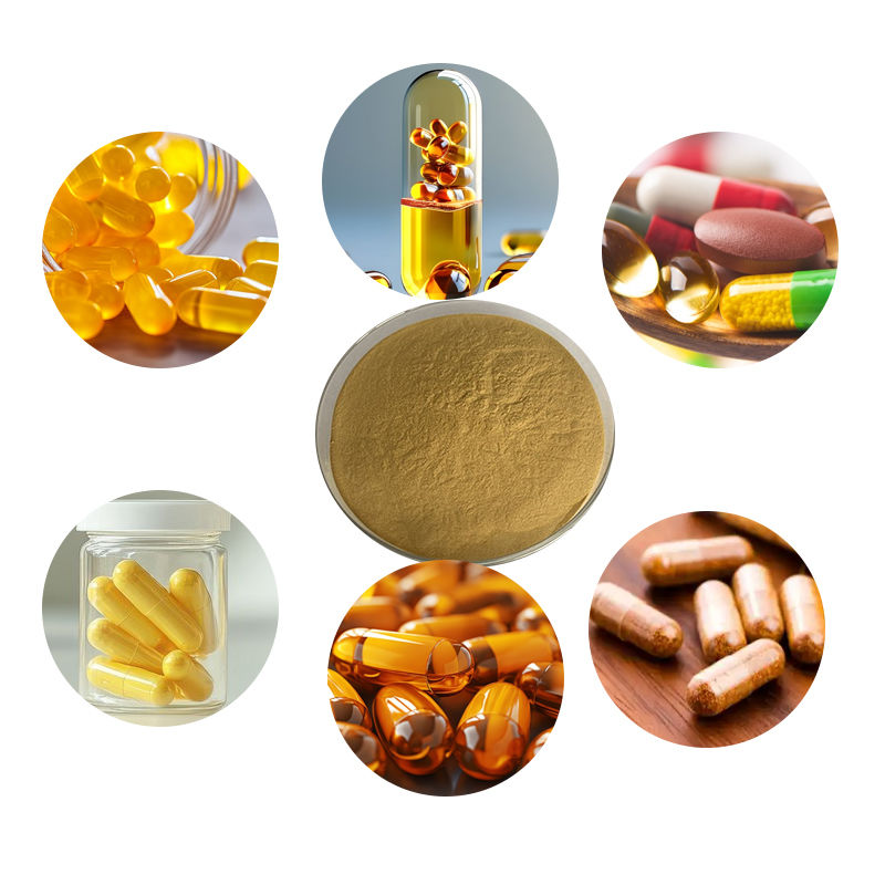 Baisfu natural Chrysanthemi Indici Flos P.E Best quality brown yellow fine powder for Natural antioxidants and medicine