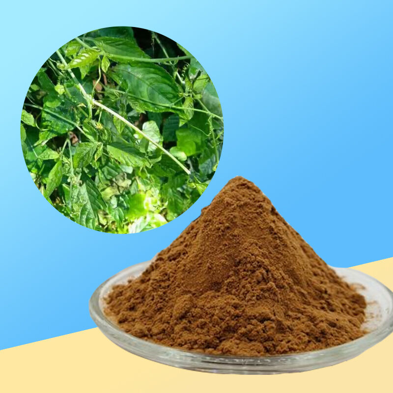 Baisfu Factory Wholesale Gynostemma Pentaphyllum Extract Brown Yellow Fine Powder Ginsenosides for Health Supplements and Natural Additive