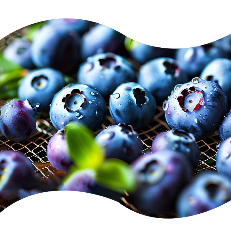Premium Blueberry Cheese Powder Flavor for Cheesecake Mix Muffin Dry Blend and Cupcake Powder