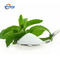 CAS 57817-89-7 Καθαρό φυτικό εκχύλισμα Το βότανο Stevia Stevioside χαμηλής θερμιδικής αξίας για γλυκαντικά τροφίμων
