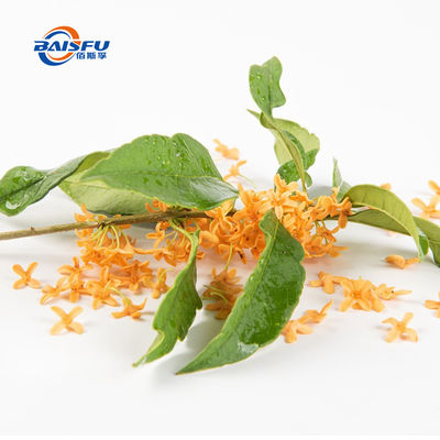 Natural and Nutritious Freeze Dried Osmanthus Powder for Food and Beverage Applications